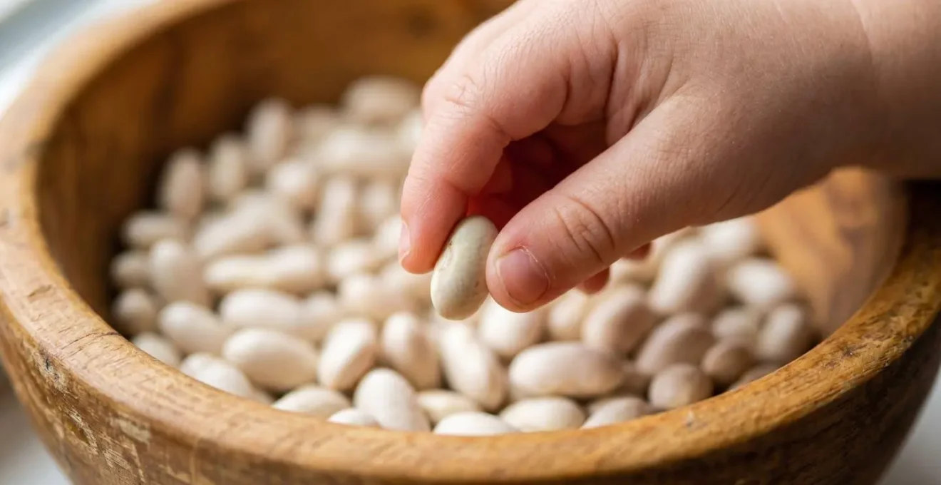 Mains d'enfant utilisant la pince pouce-index pour transvaser des haricots secs